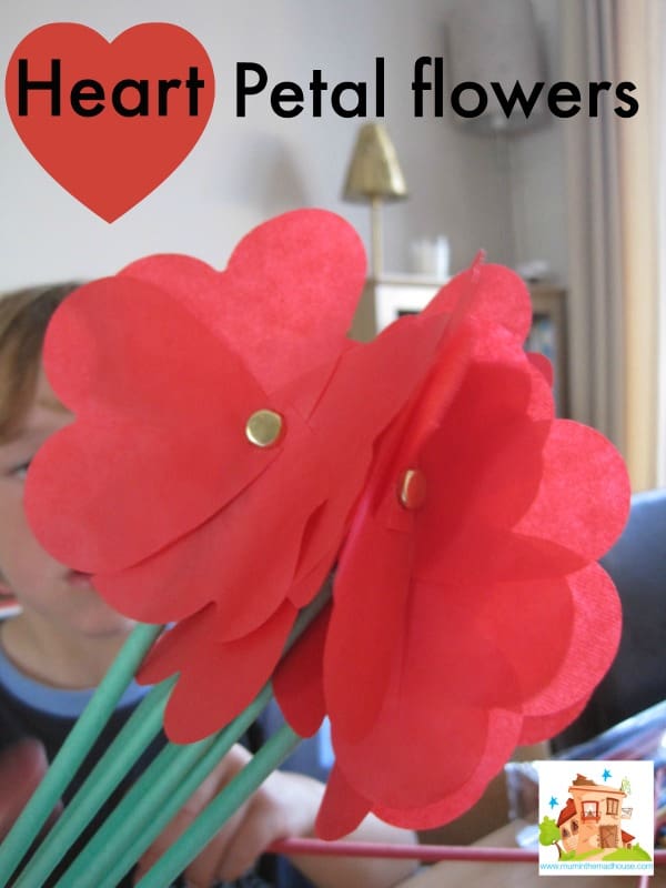 heart petal flowers
