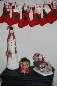 IMG_4132 (2)