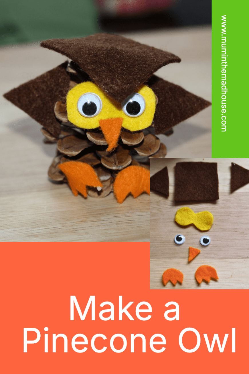 Create a cute pinecone owl with your kids this fall! This simple and fun craft uses natural materials like pinecones and leaves, perfect for a nature walk collection. A great way to spend quality time together while sparking creativity and learning about owls. Suitable for kids of all ages!