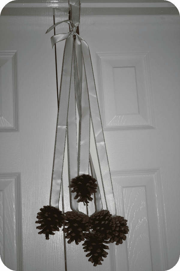 pinecone door