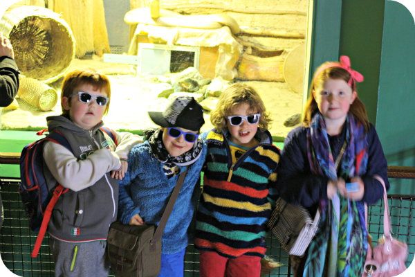 zoo