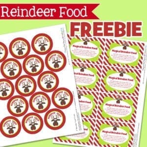 reindeer food8