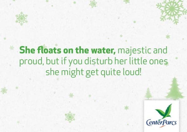 12 Center Parcs Christmas Riddle Clues_ MumintheMadhouse