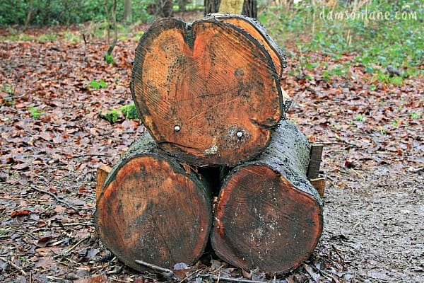 Shape-Walk-Tree-Trucks