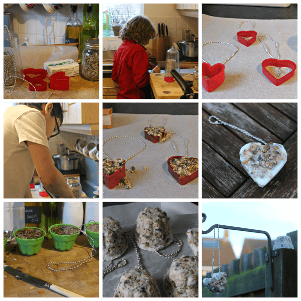 birdfeeder collage