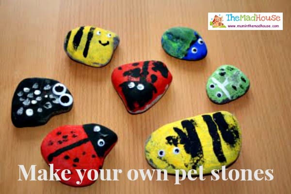 pet stones