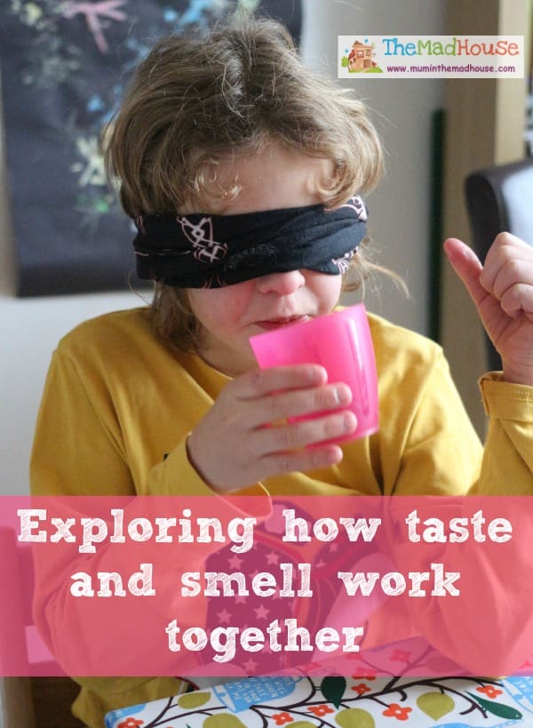 smell and taste