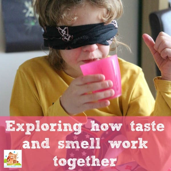 smell-and-taste-