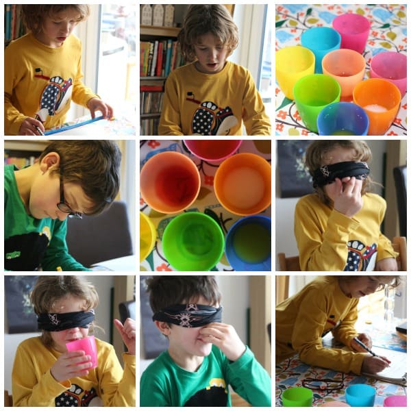taste collage