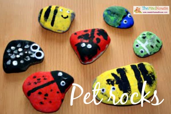 pet rocks