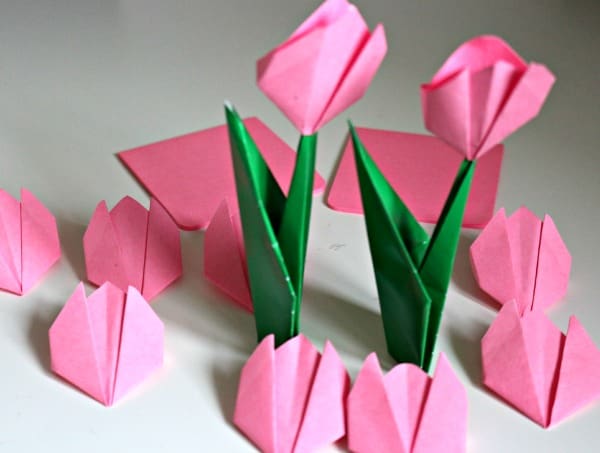 tulips