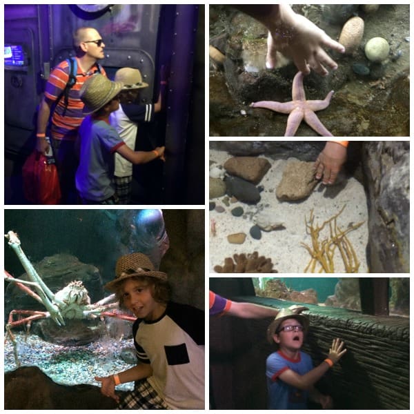 Blackpool sea life center