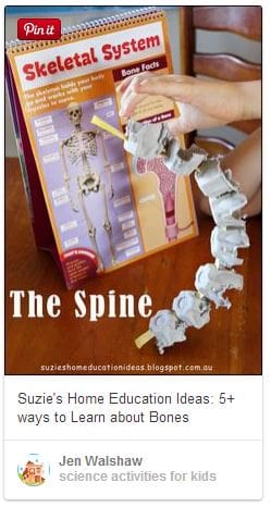 spine