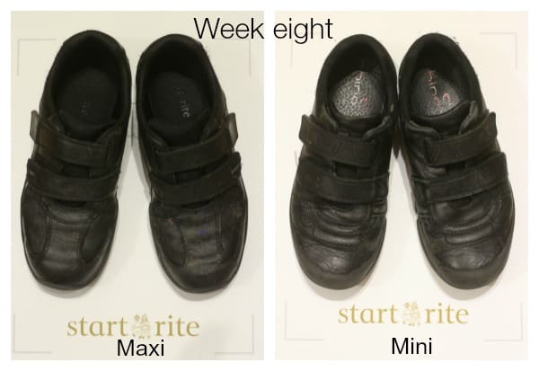 startrite week eight