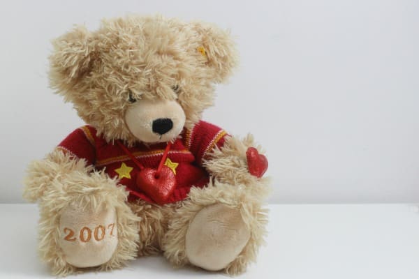 teddy Salt dough jewellery