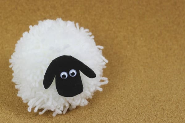 pompom sheep 5