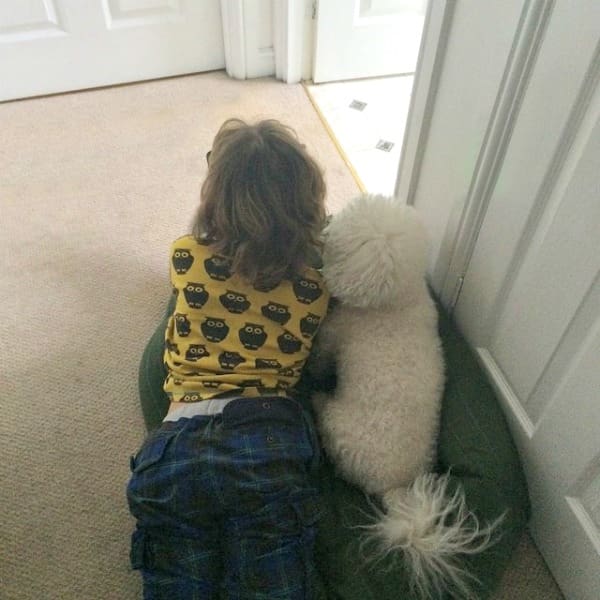 al and maxi