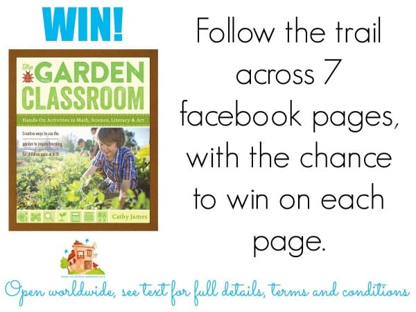 facebook giveaway