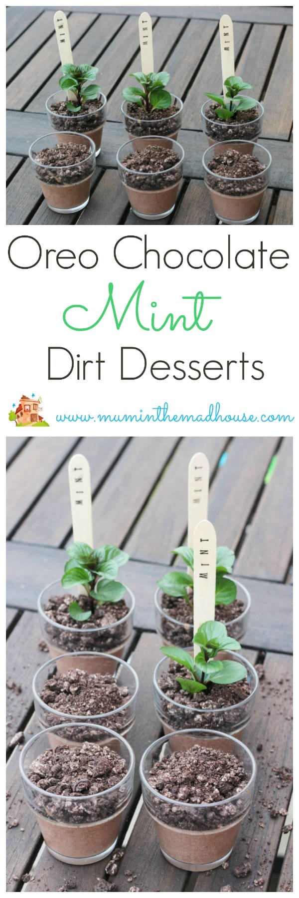 mint choclolate
