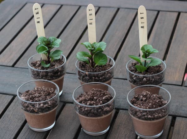 oreo mint chocolate pots 4