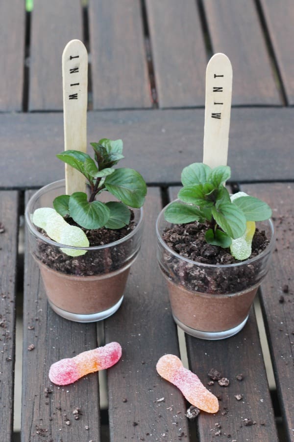 oreo mint chocolate pots 6