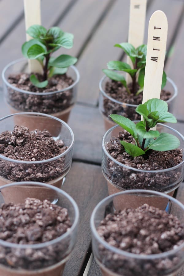 oreo mint chocolate pots 8