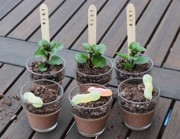 oreo mint chocolate pots5