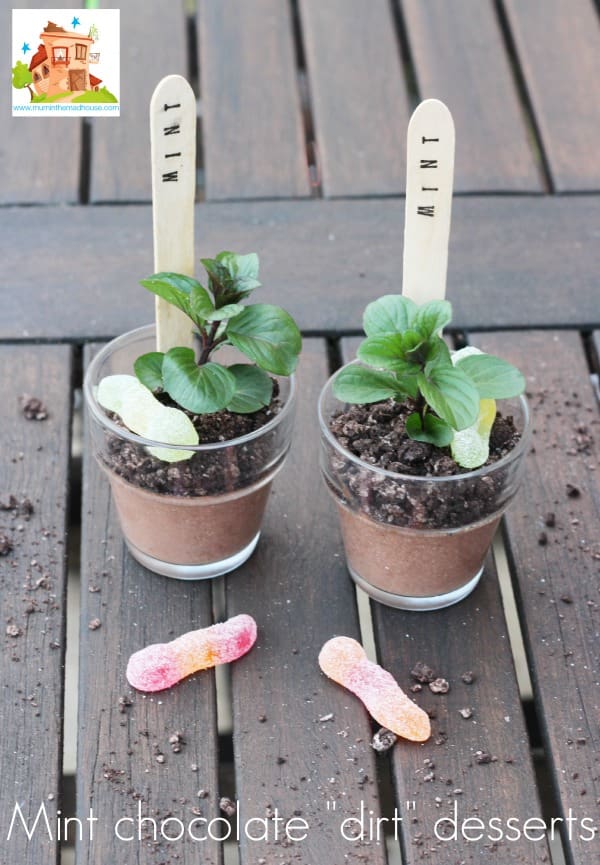 oreo mint chocolate pots7