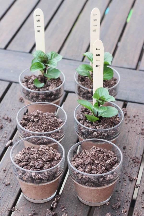 oreo mint chocolate pots8