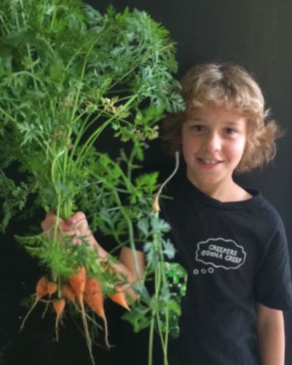 carrots