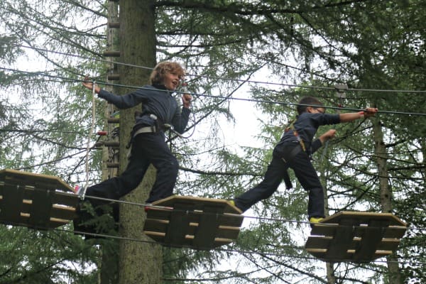 climb trees