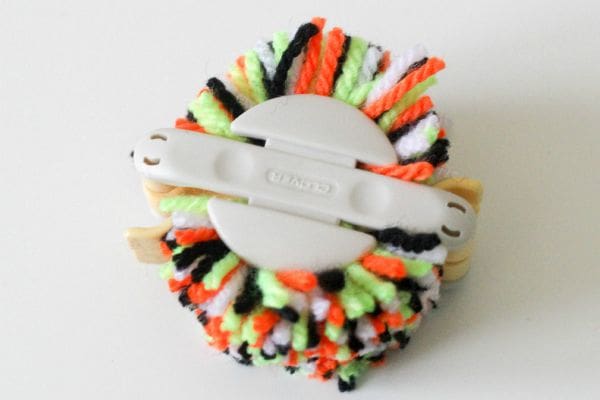 pom pom spider