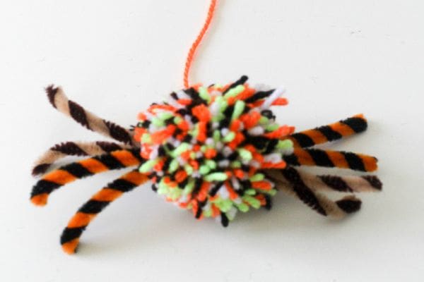 pom pom spider