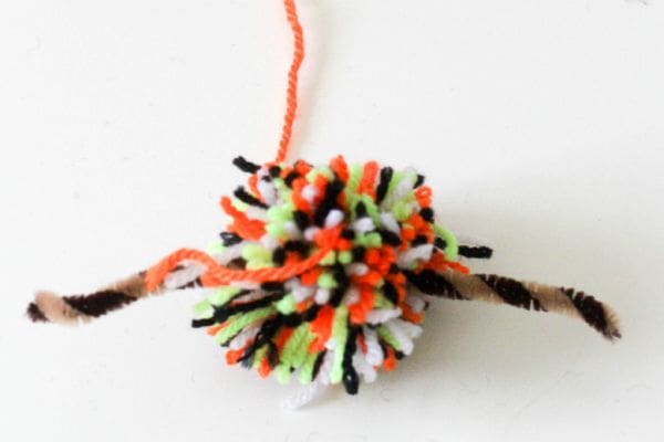 pom pom spider