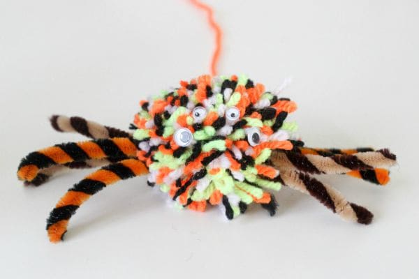 pom pom spider