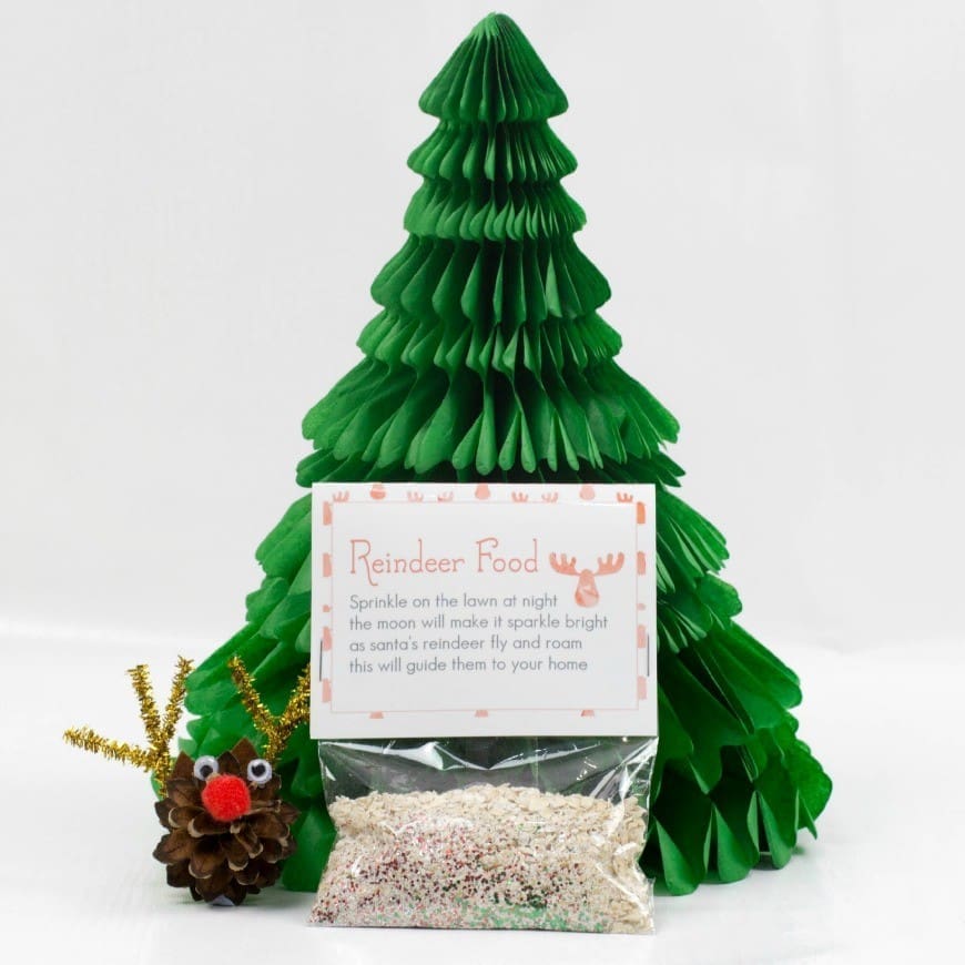 DIY Magic Reindeer Food
