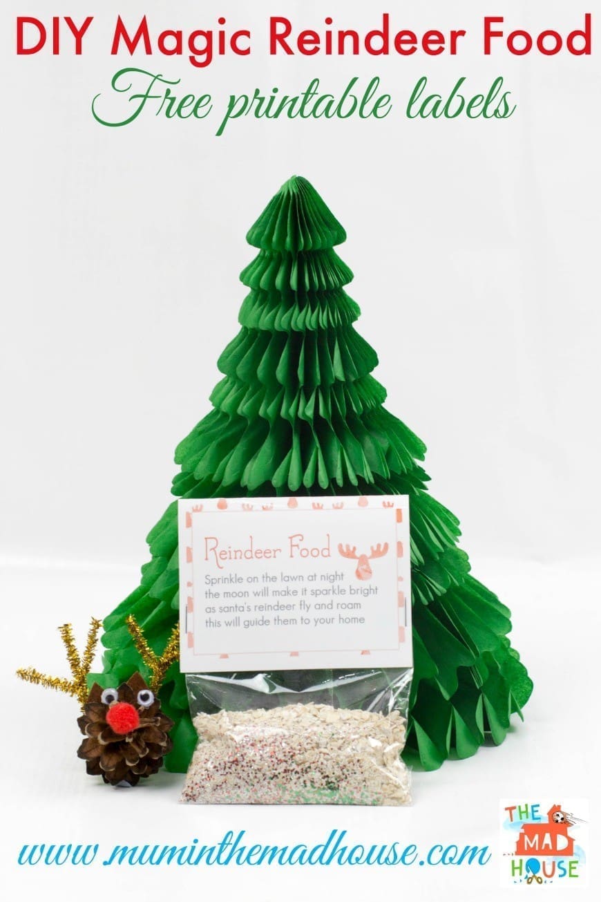 Create your own magical reindeer food this Christmas Eve! A wildlife-friendly recipe made with oats and biodegradable glitter — perfect festive fun for kids.