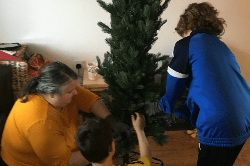 put up the tree
