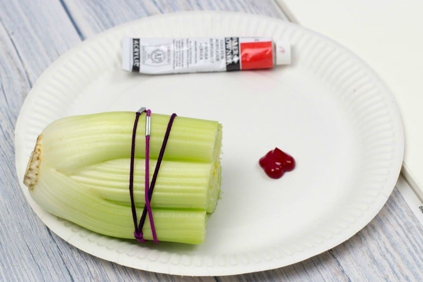 Printing Flowers with Celery Stalks