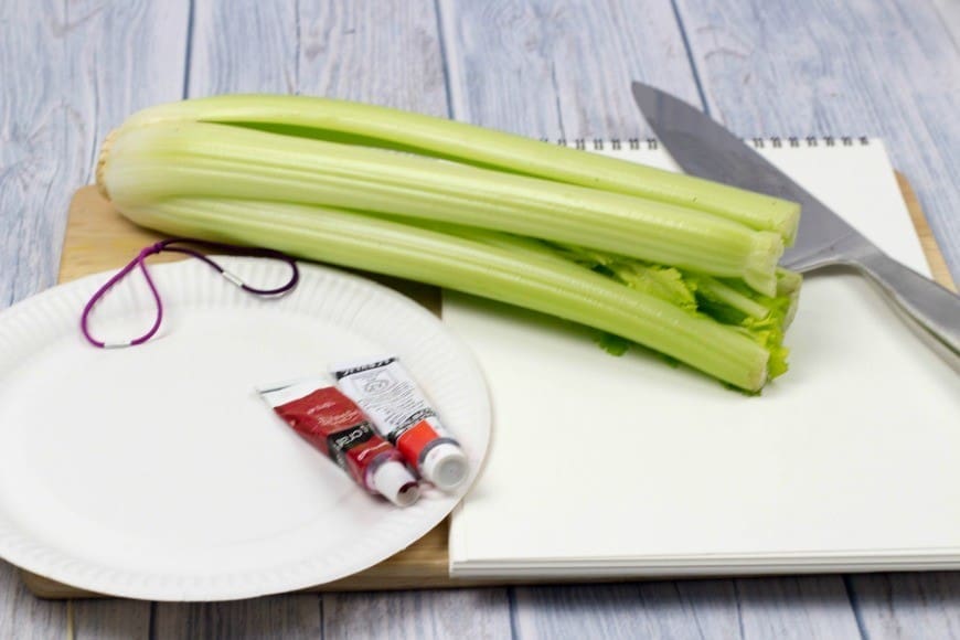 Printing Flowers with Celery Stalks