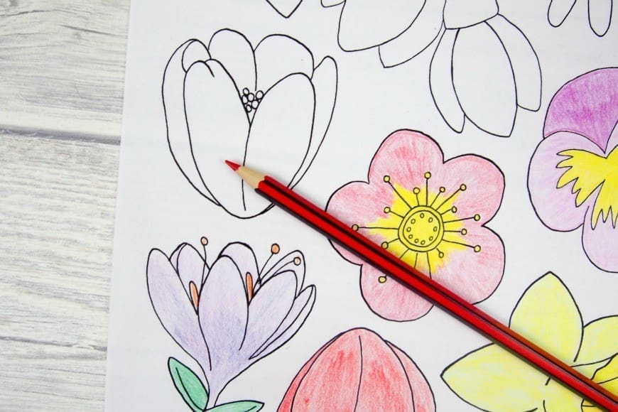 Beautiful free flower colouring page for adults, perfect for making bunting or for joining the adult colouring craze. Download yours now 