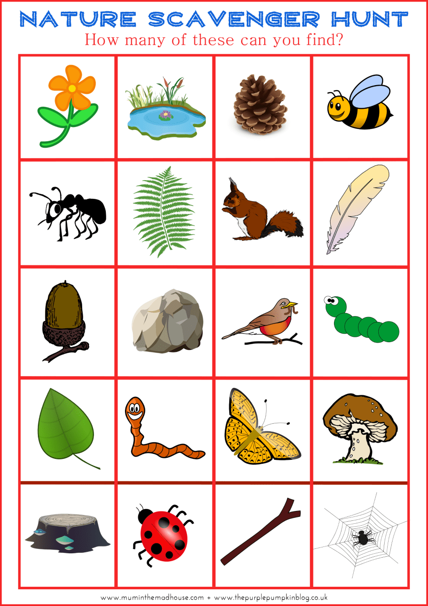 Turn a walk into an adventure for all the family with this free summer scavenger hunt printable. A fantastic fun free printable for kids, perfect for a woodland walk.