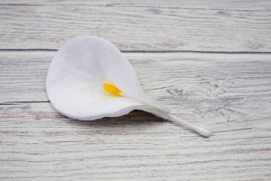 Cotton Pad Calla Lily Craft