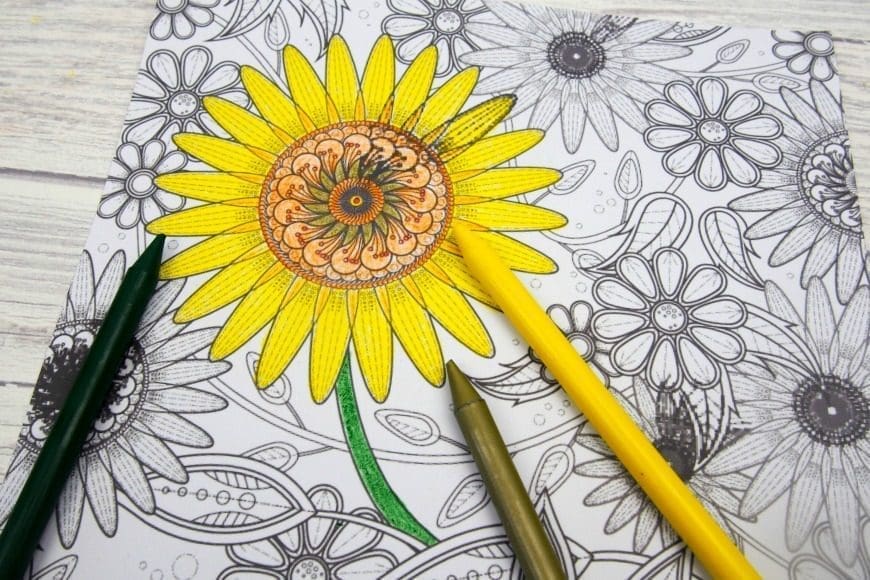 Sunflower Colouring Page