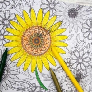 Sunflower Colouring Page