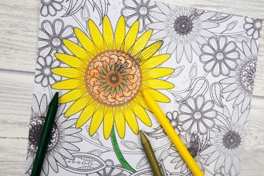Sunflower Colouring Page