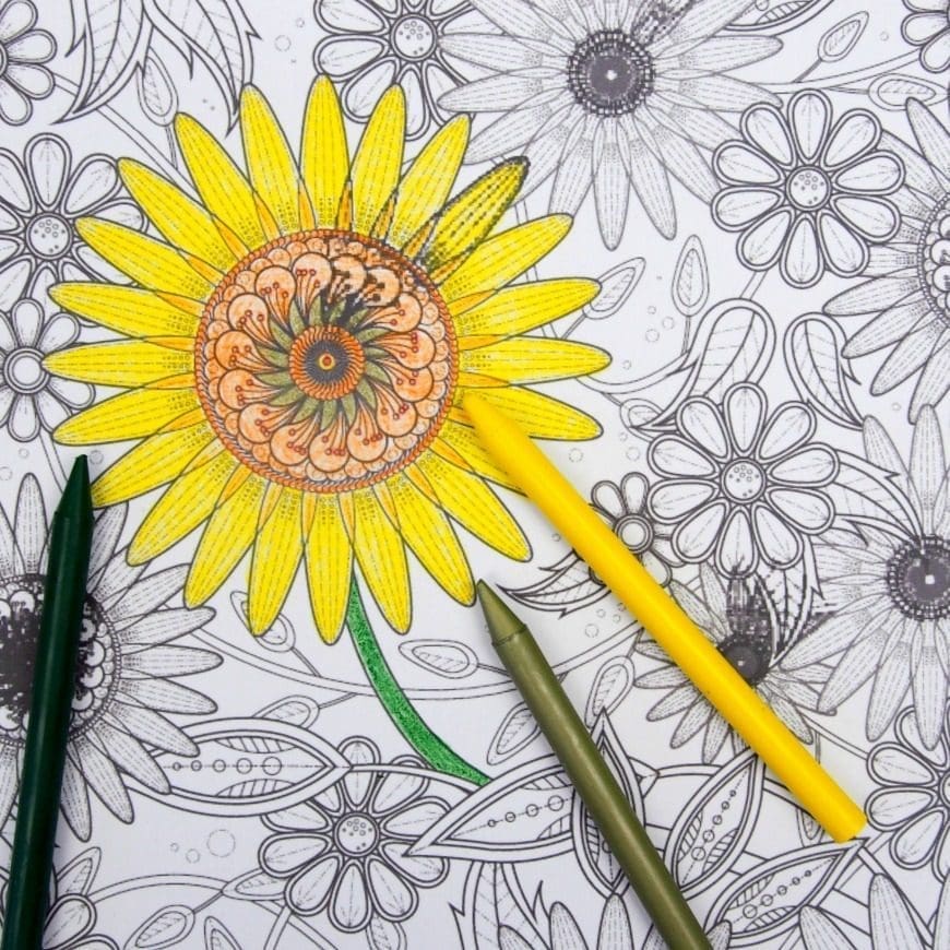 Celebrate summer days with this fab Sunflower colouring page for adults. Perfect for Enjoy the beauty of sunflowers with this free printable.