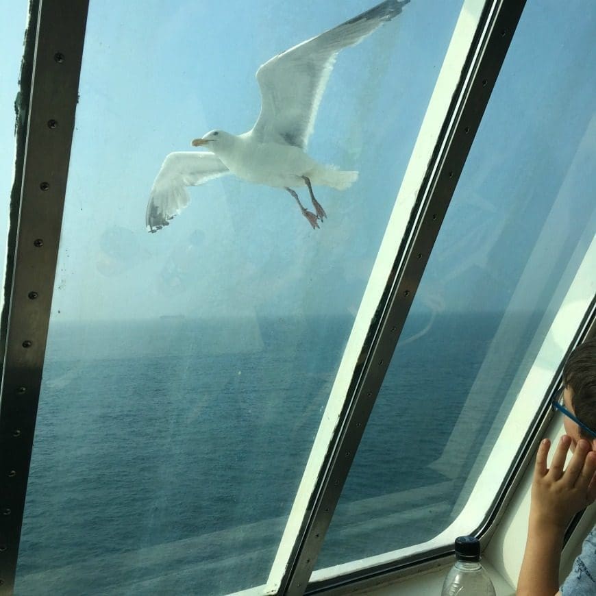 Tips for ferry Crossings with Kids