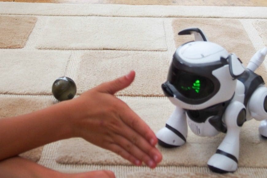 Teksta Robotic Puppy 5.0 Review