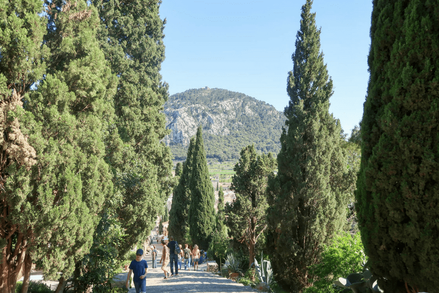 Tween approved things to do on the beautiful Island of Mallorca. Visit family friendly Mallorca and keep all the family happy.